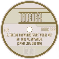 Take Me Anywhere (Spirit Remixes)