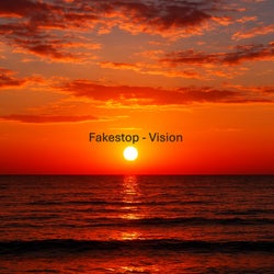 Vision