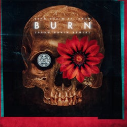 Burn - Sean Darin Remix