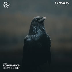 Crows Eyes EP