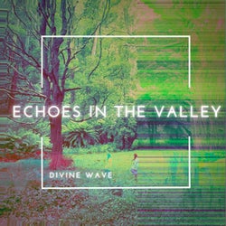 Echoes in the Valley