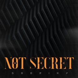 Not Secret (Extended Remix)