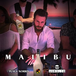 Malibu (feat. Yusuf Norris)