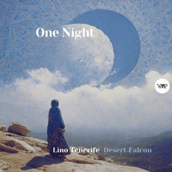 One Night
