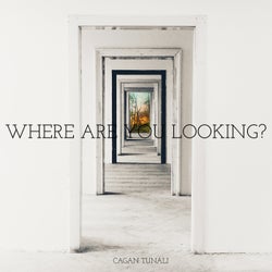 Where Are You Looking