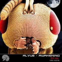 Alvus - Awakening