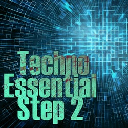 Techno Essential, Step 2