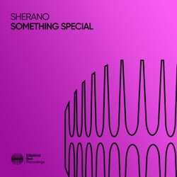 Something Special (Extended Mix)