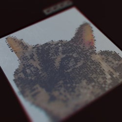 LIVE PROJECT