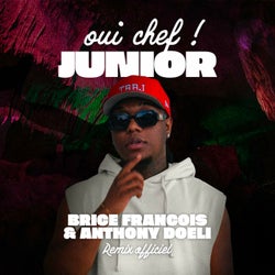 Oui Chef ! (Remix)