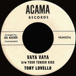 Vaya Vaya b/w Your Tender Kiss