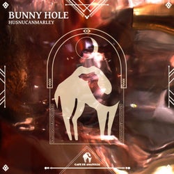 Bunny Hole