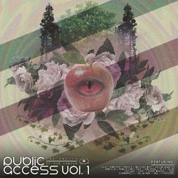 Public Access Vol. 1