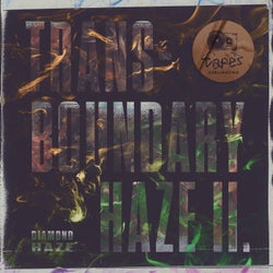 Transboundary Haze II