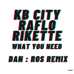 What You Need (DAN:ROS Remix)