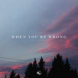 When You're Wrong