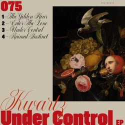 Under Control EP