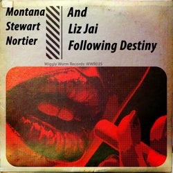 Following Destiny (Latin Soul Mix)