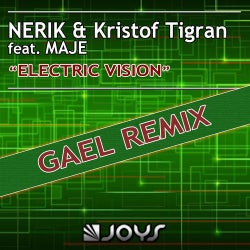 Electric Vision (feat. Maje) [Gael Remix]