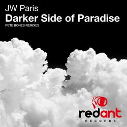 Darker Side of Paradise (Remixes)