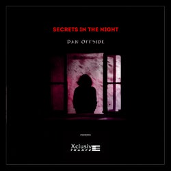 Secrets In The Night
