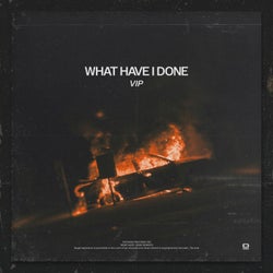 What Have I Done (VIP)
