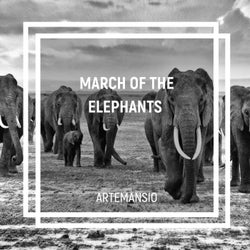 March Of The Elephants