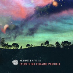 Everything Remains Possible