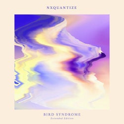 Bird Syndrome (Extended Edition)