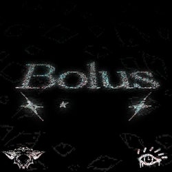 Bolus