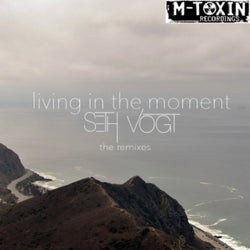 Living In The Moment (The Remixes)