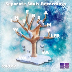 Separate Souls Recordings Winter V.A Sampler Vol 2