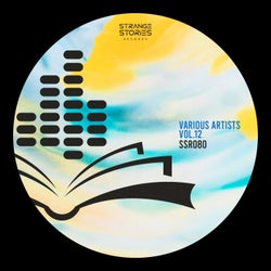 Various Artists Vol.12