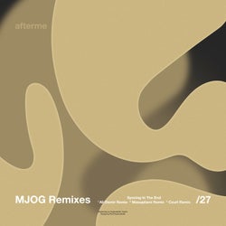 Remixes [DAM27]