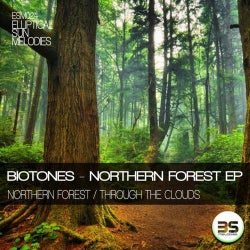 Northern Forest