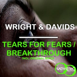 Tears For Fears / Breakthrough