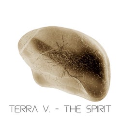 Terra V. - the Spirit