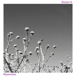 Raumreise