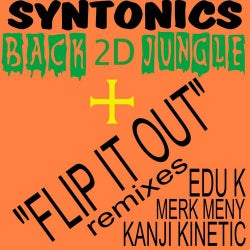 Back 2D Jungle / Flip It Out Remixes