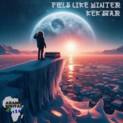 Feels Like Winter (Original Mix)