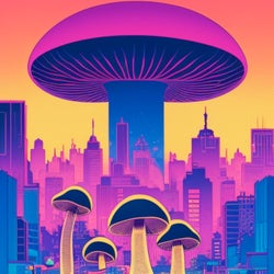 Mushrooms in the City