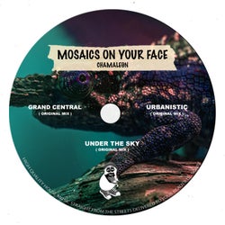 Mosaics on Your Face