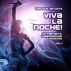 Viva La Noche! (20 Fantastic Underground Grooves), Vol. 1