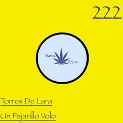 Un Pajarito Volo