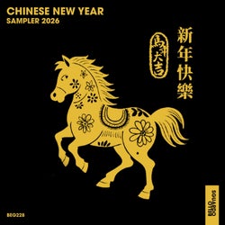 Chinese New Year Sampler 2026