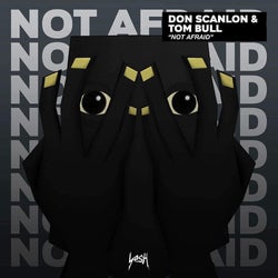 Dom Scanlon & Tom Bull - Not Afraid  Chart