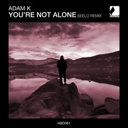 You're Not Alone (Seelo Remix)