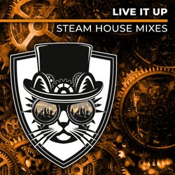 Live It Up (Steam House Mixes)