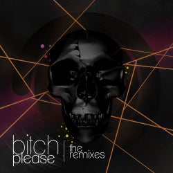 Bitch Please (The Remixes)