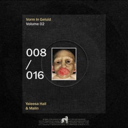 Vorm in Geluid, Vol. 2